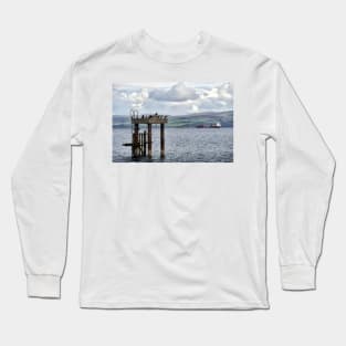 Guillemots resting on an old mooring - Mount Stewart, Bute, Scotland Long Sleeve T-Shirt